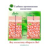  Хочешь больше протоколов от Альпика? Архив.