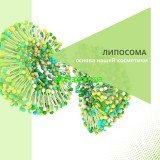 Информация о липосомах и их производстве