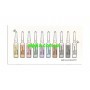CURE AMPOULE Комплект ампульних концентратів Multi Esthemax, 2мл.х10шт